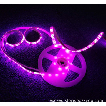 Double LED Body Sensor Bed Light